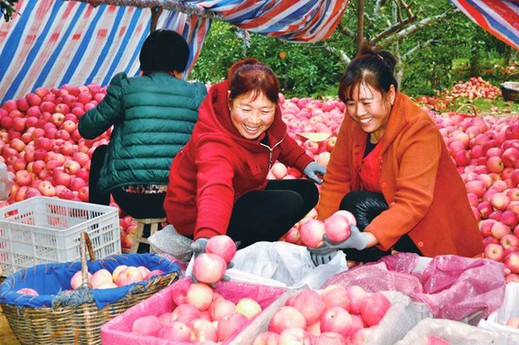 ͼΪĳũ𱣾ڲժ츻ʿƻ