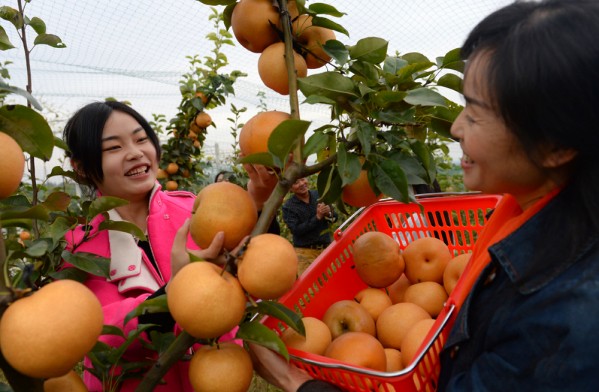 ��������Ҷ��������ѩ����Ʈ�ĸ�