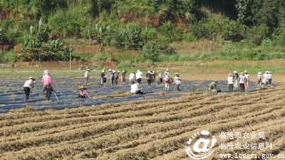 �������ؾ�������Ч�ٽ�����ũҵ��չ