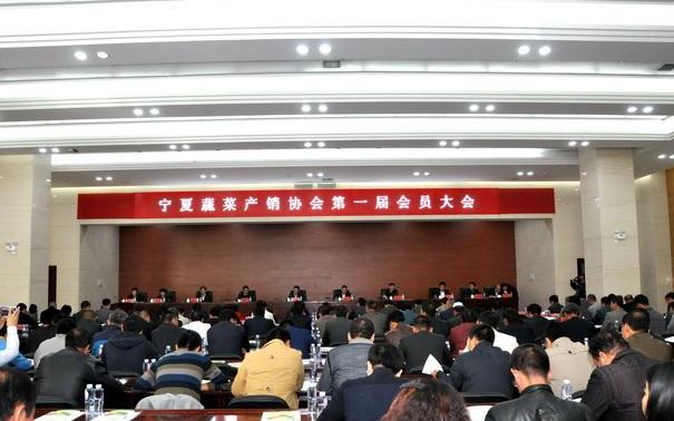 宁夏蔬菜产销协会第一届会员大会在银川召开