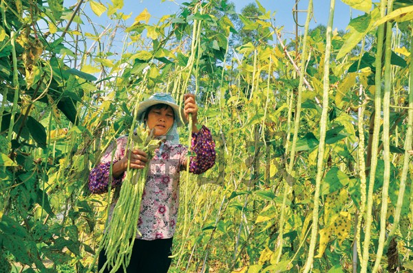 ��������������ϲ�����