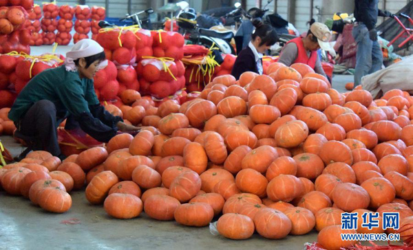 1028գɽʡٹ߲г̹ӶԱϹϽзװ