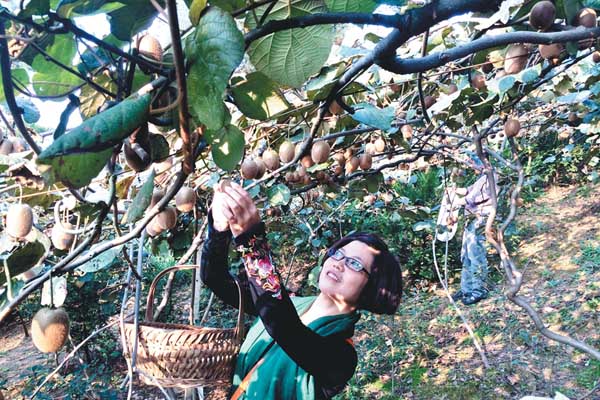 1026գοعϽɽϲժ⨺ңƷζ졣ĿǰϽɽ̬ũҵ԰⨺ҹ֦ͷ˴οǰժ