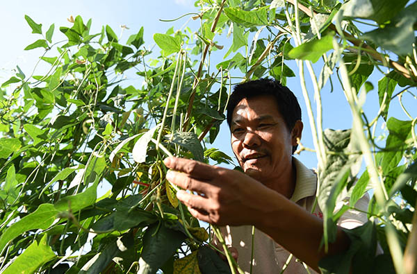 �������֣������ֶ�������