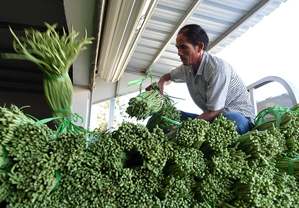 10��29�գ��ڹ��������к�����ʯ����һ�����񽫸ող�ժ����������װ��׼�����ˡ�