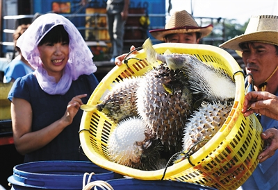 ���ϣ���ɳ����������