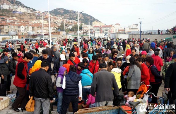 山东青岛秋捕时节虾蟹肥 抢鲜市民挤爆码头