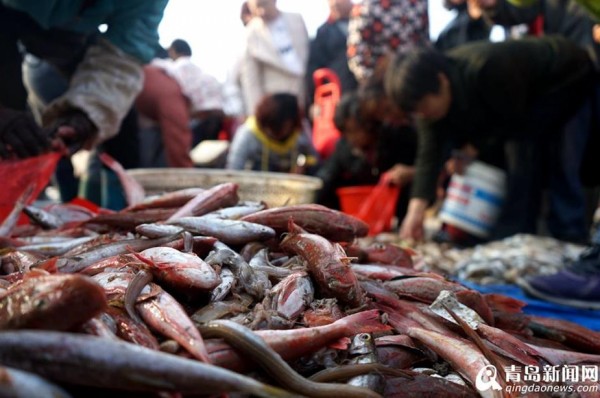 刚上岸的小杂鱼,新鲜价廉受欢迎