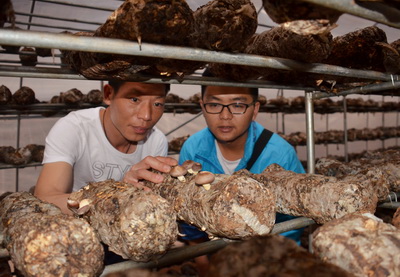 ������ƽ�´�С�㹽�ֳ��¸����ҵ