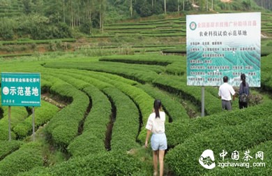 �����������������ӭ�����ռ� ���ڲ����������ȹ�