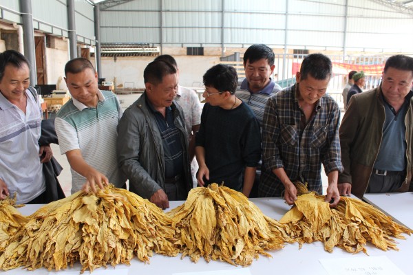 �����������՜K�����չ�����Բ������ ũ�������ٴ��¸�