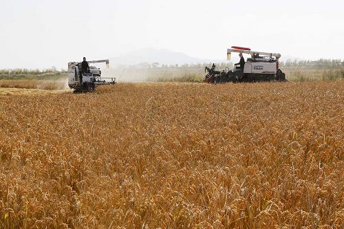 1031գʡƸγĿְʻոոˮ