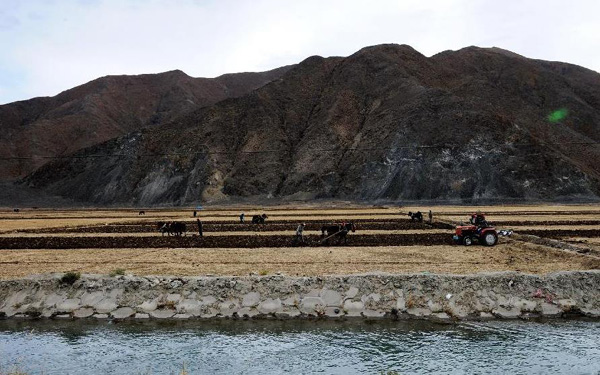 տаظ¶Ĵũţ1028㣩