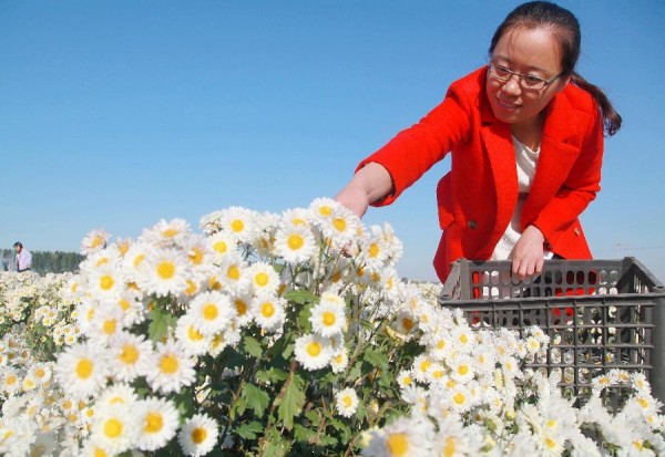 111գӱɽҤľũڲժ׾ա