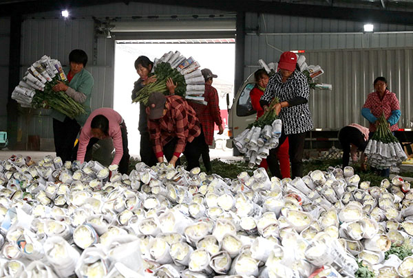 ������ˮ����ɫũҵ��ũ����