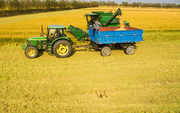 112գոڽ̩ݺֳոϾ5055