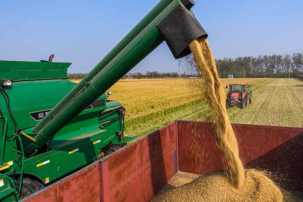 112գոڽ̩ݺֳոϾ5055