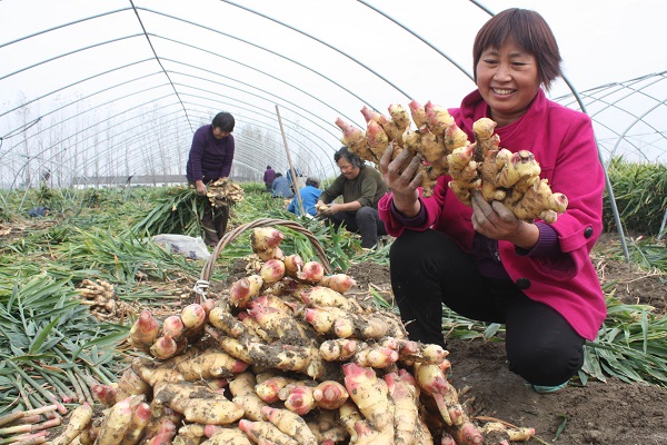 ���ո���򣶫����ϲ����� ũ������