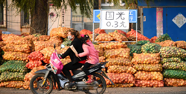 113գʡ«ش壬ﳵôĴιۼɢء