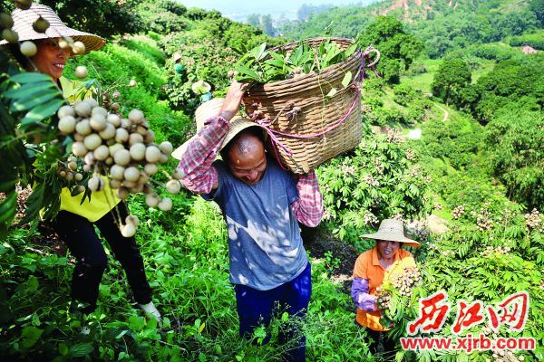 㶫еũҵҵһҵΪԪչ ֮̽硱۹