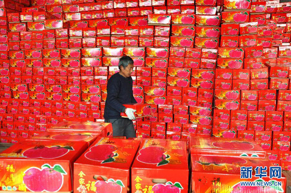 山东沂源:果农网销苹果备战“双十一”
