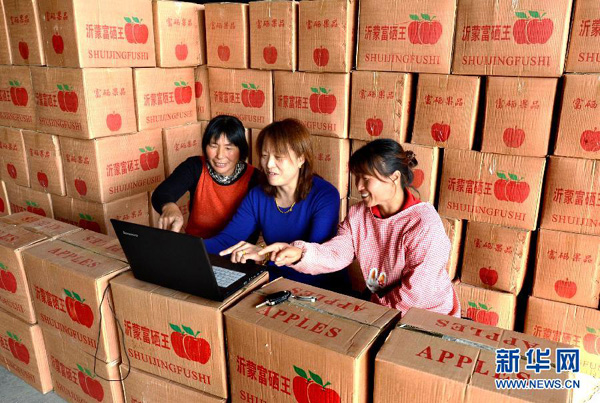 11月3日,山东省沂源县东里镇东村的果农在电脑上查看果品网销情况。