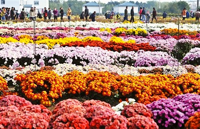 �����Ͼ��н��������ջ����� ��ũ����