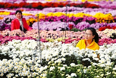 �����Ͼ��н��������ջ����� ��ũ����2