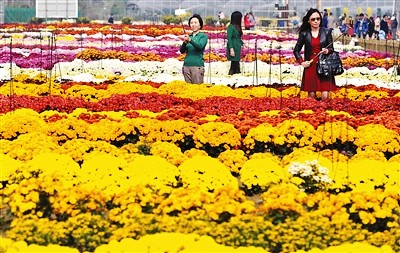 �����Ͼ��н��������ջ����� ��ũ����3