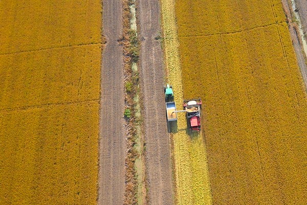 �������Ƹۡ���������ϲ�����