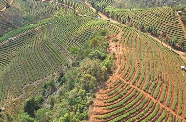 �����ٲ��и�ԭ��ɫũҵ��ҵ�����ش�2000��Ķ