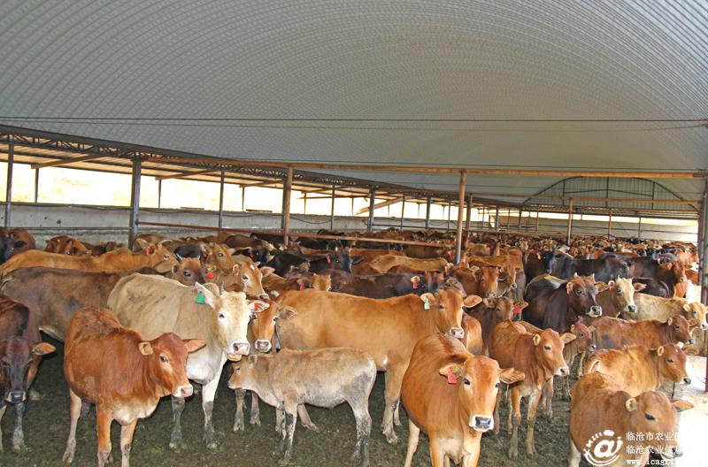 �����ٲ���2015��������ҵ�Ȳ���չ