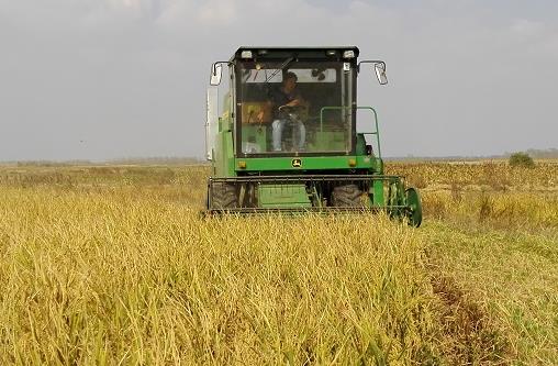 ���������������ץ����������