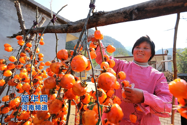 ���ϰ��������ӻ���� ����̫����