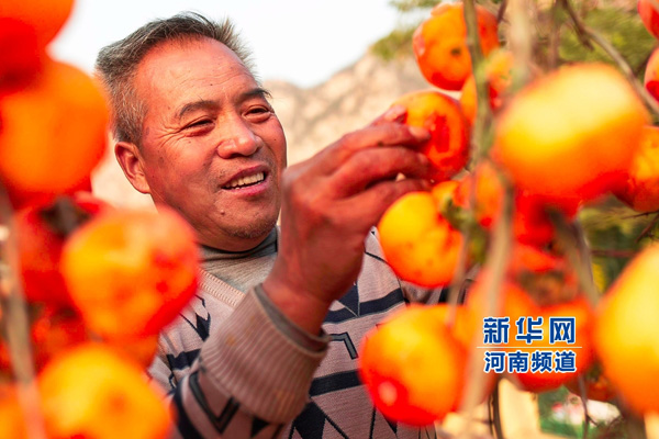 2015��11��4�գ��������ί��ɲ����������ڷ�����ɹ���ӡ�