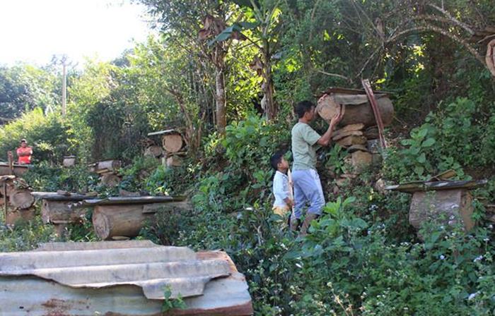 云南沧源县班老乡林下养蜂促增收