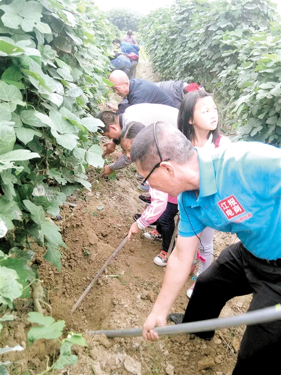 һһҵ 㶫ɽ˫۸ֲһ귭