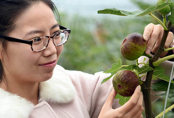 115գοںӱȷй޻ֲ԰ڲժ