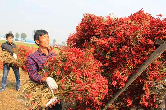 ����ʡۣ�س�����С�����������ҵ