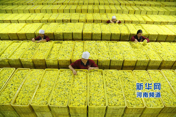 11��3�գ�����ʡ���ر����ã���������ҩ���޹�˾ְ���ڲ鿴���ջ�Ʒ�ʡ�