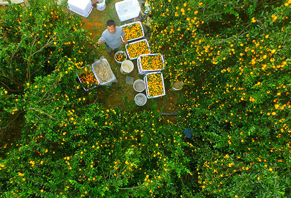 �������ǣ������۲�ҵ����ũ��