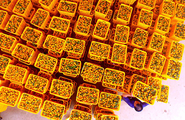 11��6�գ��ڹ��������ػ���ũ��һ��ˮ������վ�����˽��ջ������װ�䡣