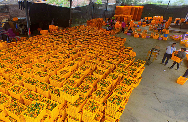 11��6�գ��ڹ��������ػ���ũ��һ��ˮ������վ���������չ����١�