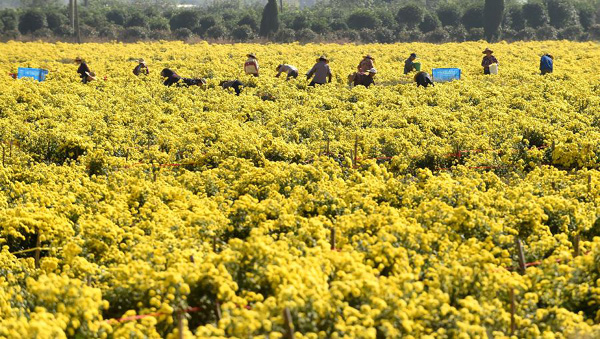 116գ㽭ʡгغľũڲժա