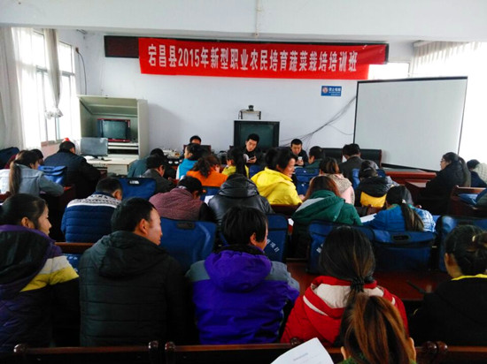 ����崲�������ְҵũ���߲�������ѵ˳�����