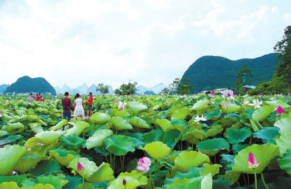 �������ݣ�ũҵ�ִ��� ��Ұ�÷��