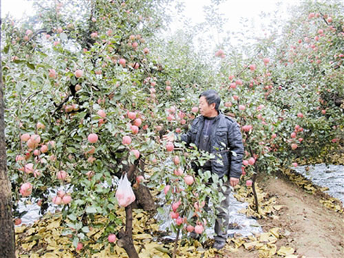 Ӣݴ200򹫽ƻ˲һ ũ