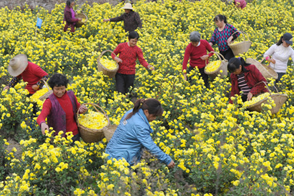 ���ս�կ�أ���ʾ���Ʈ���ɽ