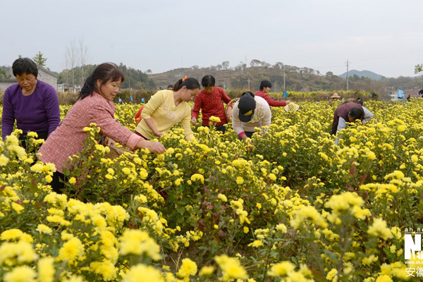 11��5�գ���կ�����һ���ʼ�ɽ��Ĵ����ڲ�ժ��ʾա�