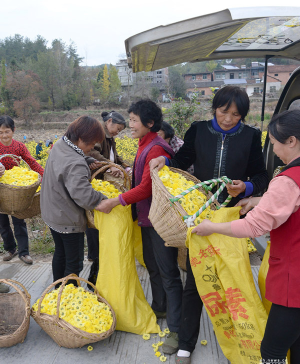 ����11��5�գ���կ�����һ���ʼ�ɽ�塰���������ʾ���ֲרҵ������Ĺ�����Ա���չ�ũ���ժ�Ľ�ʾա�